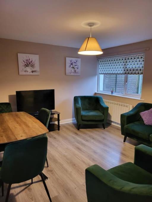 Small Town House, Barrow Lane, Bagenalstown, Carlow エクステリア 写真